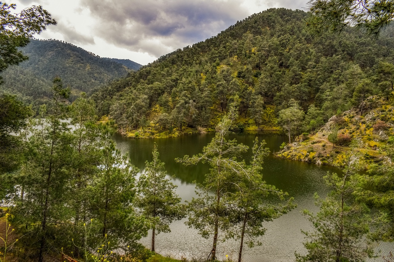 lake  mountains  trees free photo