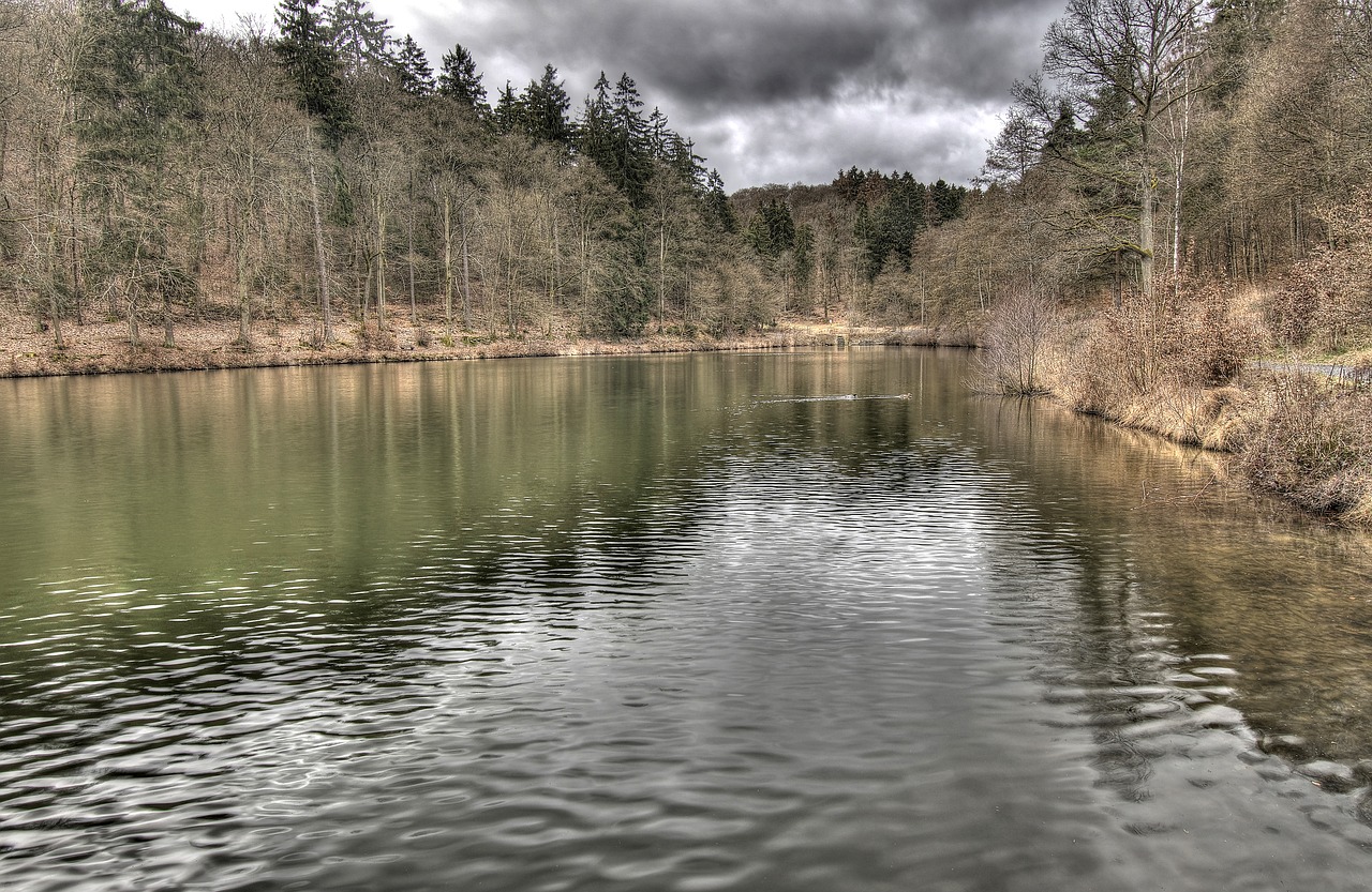 lake  forest  clouds free photo