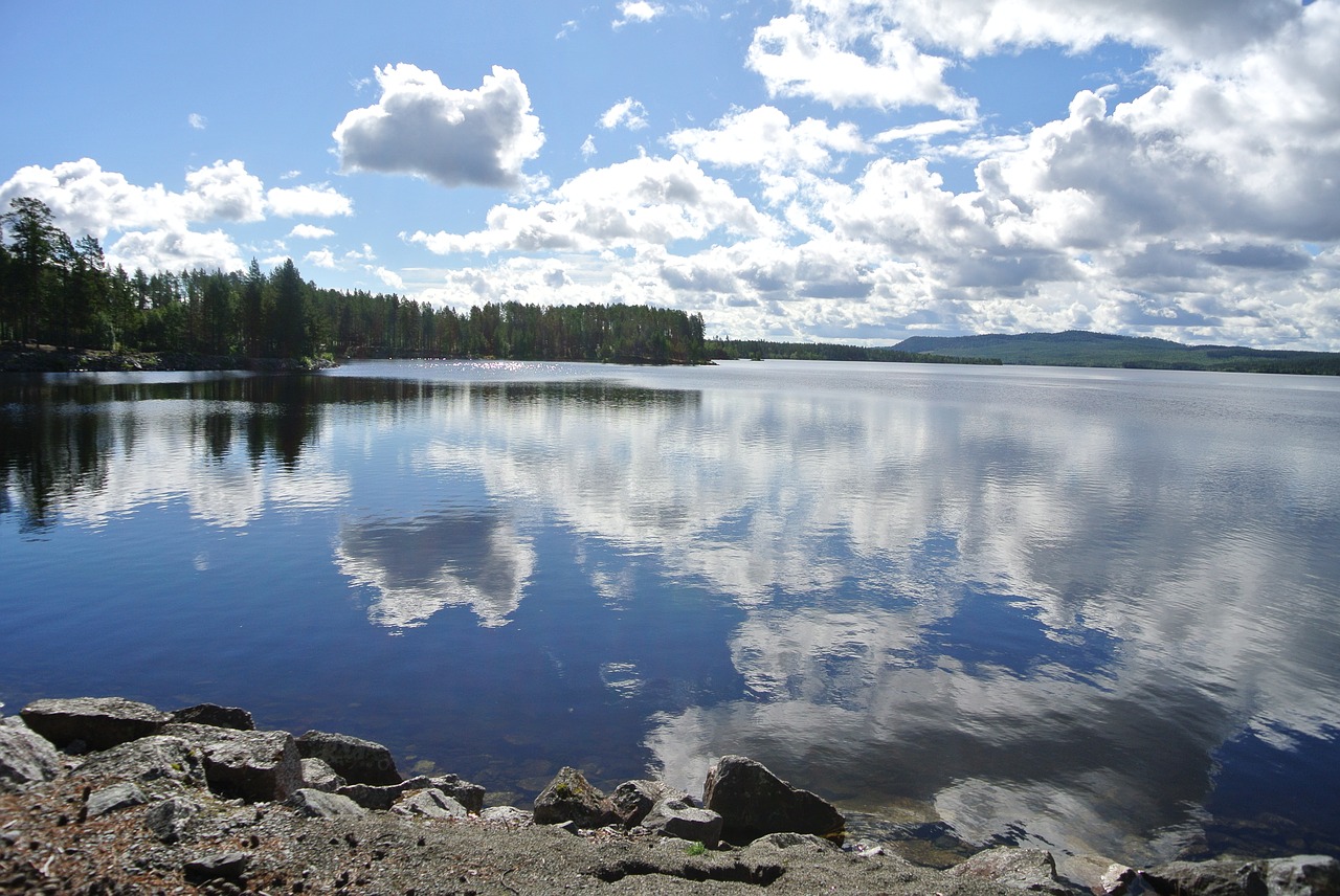 lake  summer  nature free photo