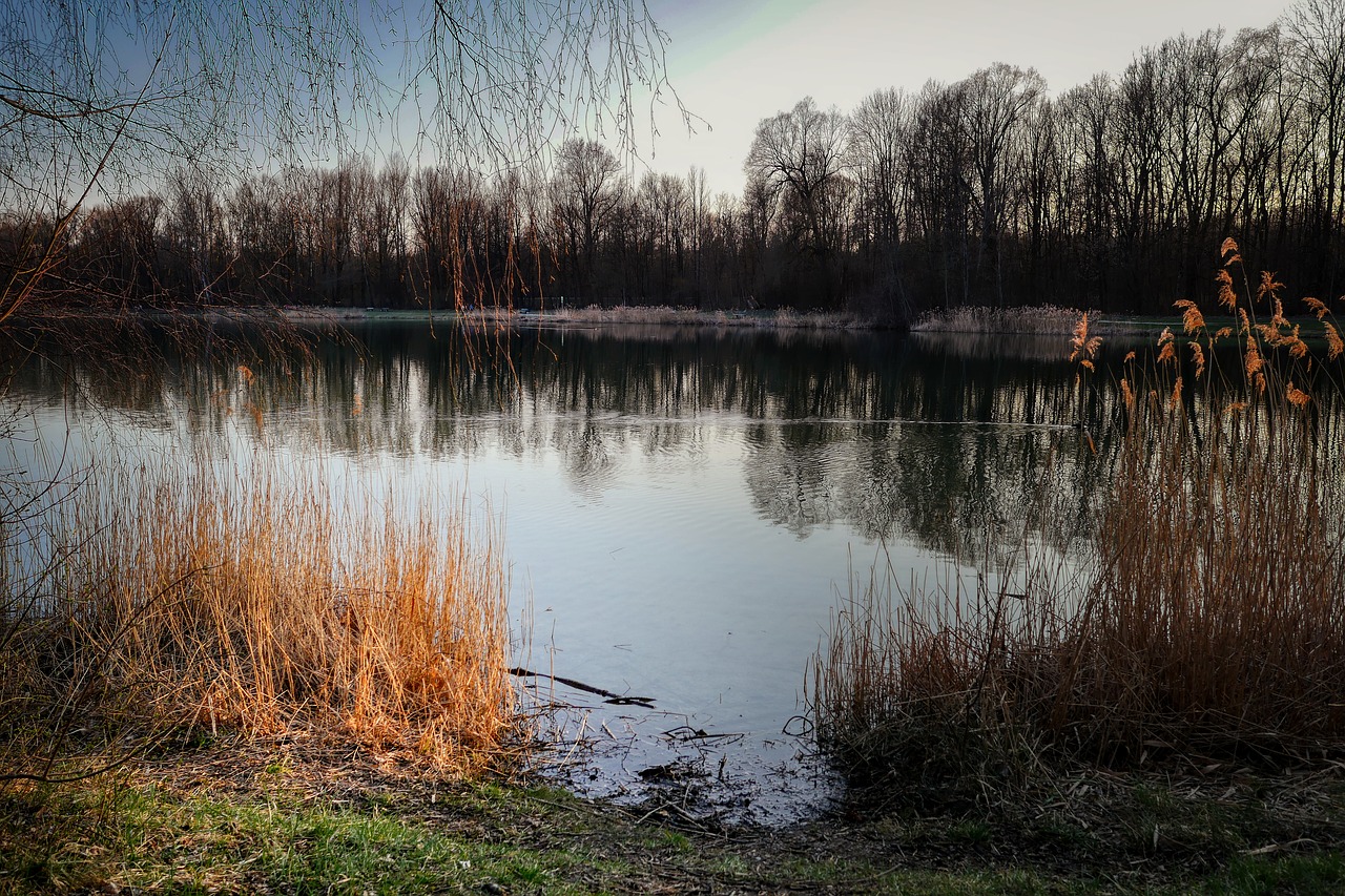 lake  mirroring  water free photo