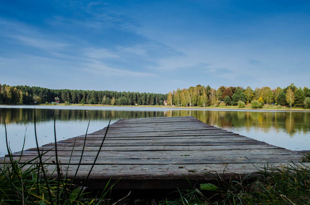 lake  bridge  landscape free photo