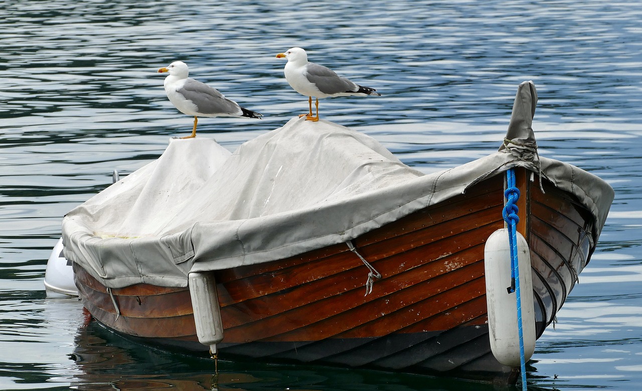 lake  boat  water free photo