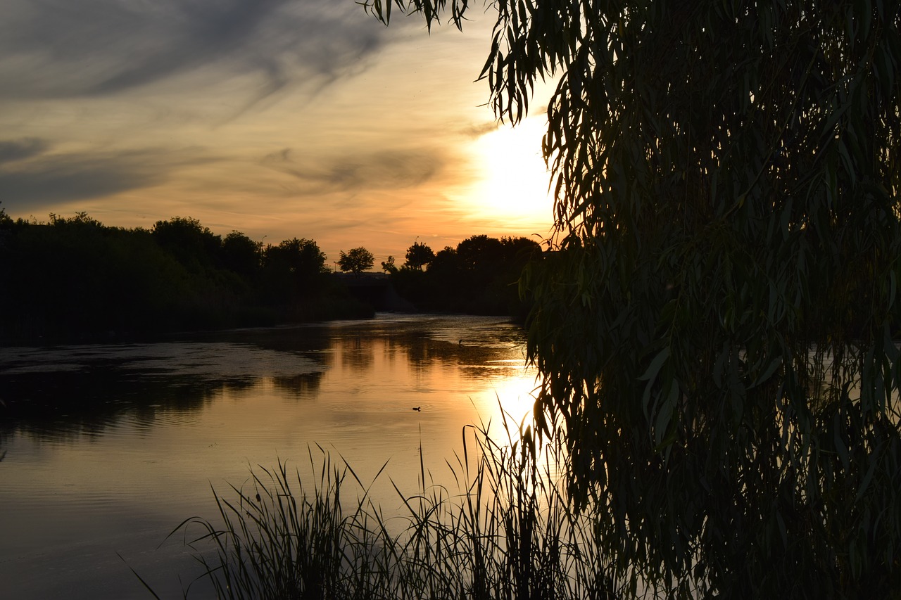 lake  sunset  natural free photo