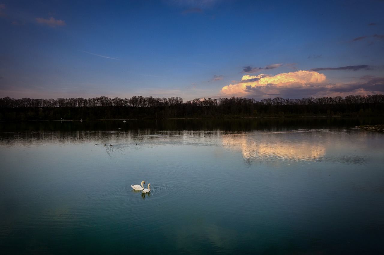 lake  abendstimmung  water free photo