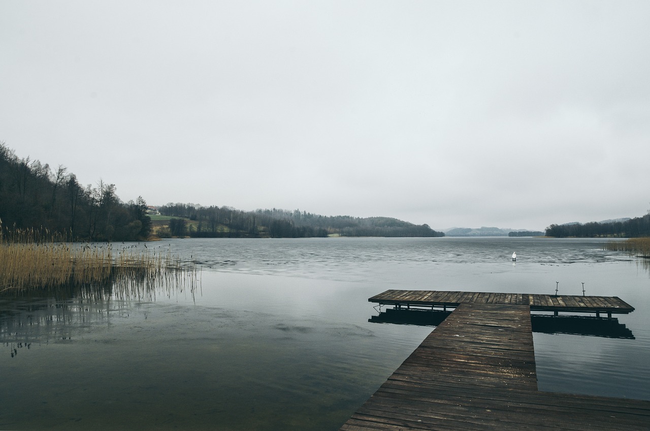 lake  water  cold free photo