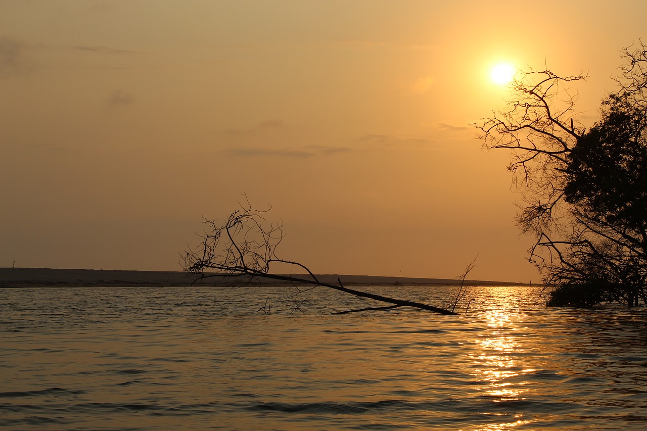 lake  beach  sunset free photo