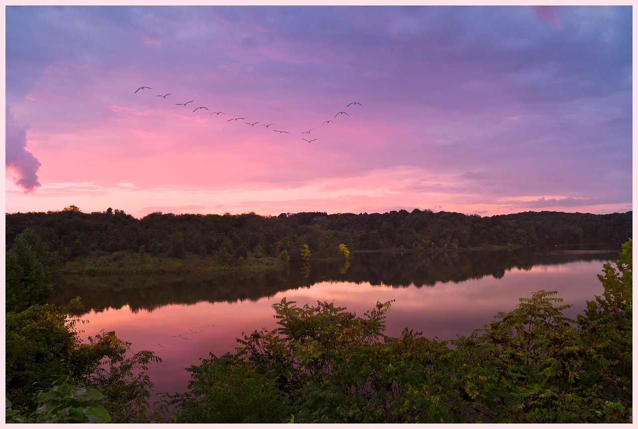 lake  sunset  water free photo