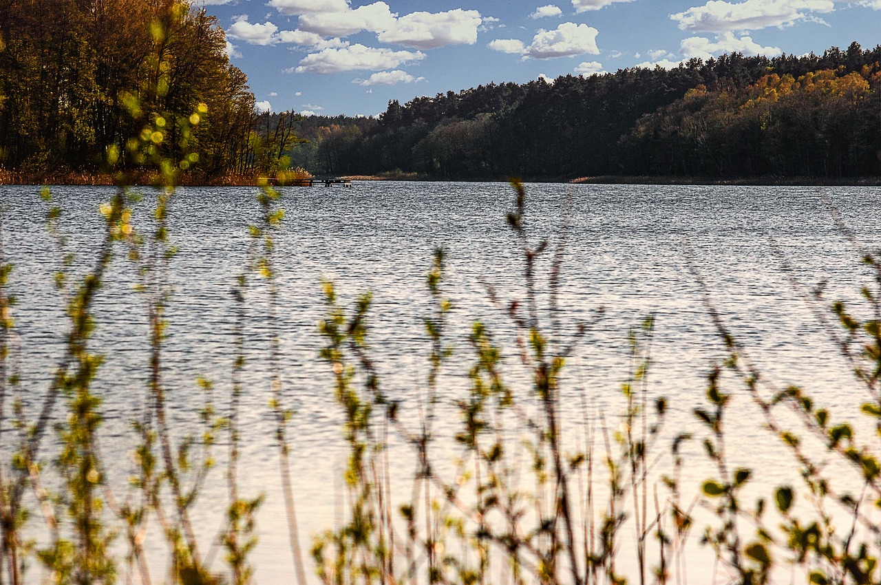 lake  landscape  nature free photo