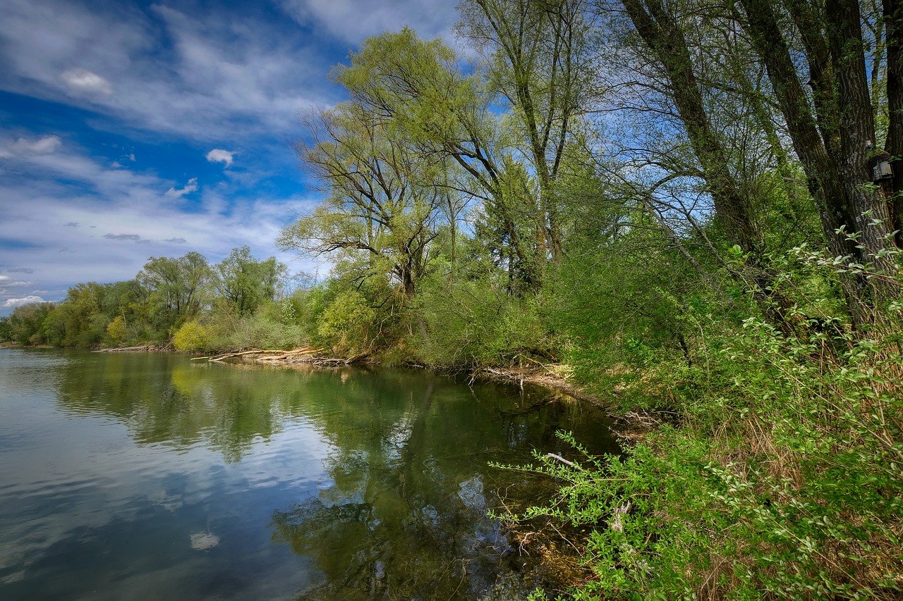 lake  spring  nature free photo