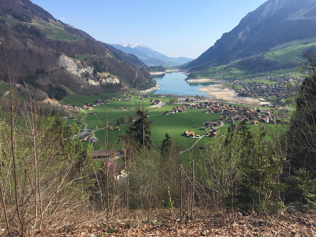 lake  switzerland  mountains free photo