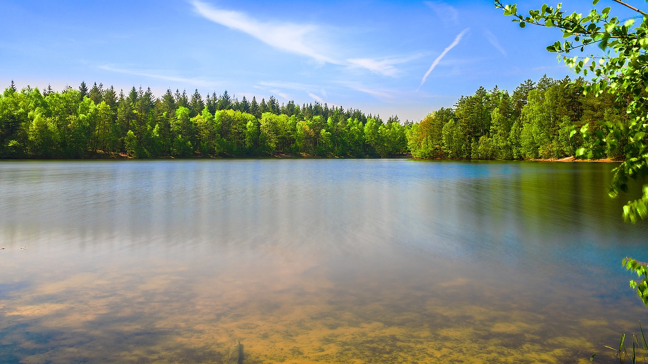 Clean lake. Озеро гладь Солнечная погода. Земля со стороны воды озеро. Плавающий лес. Плавучие леса.