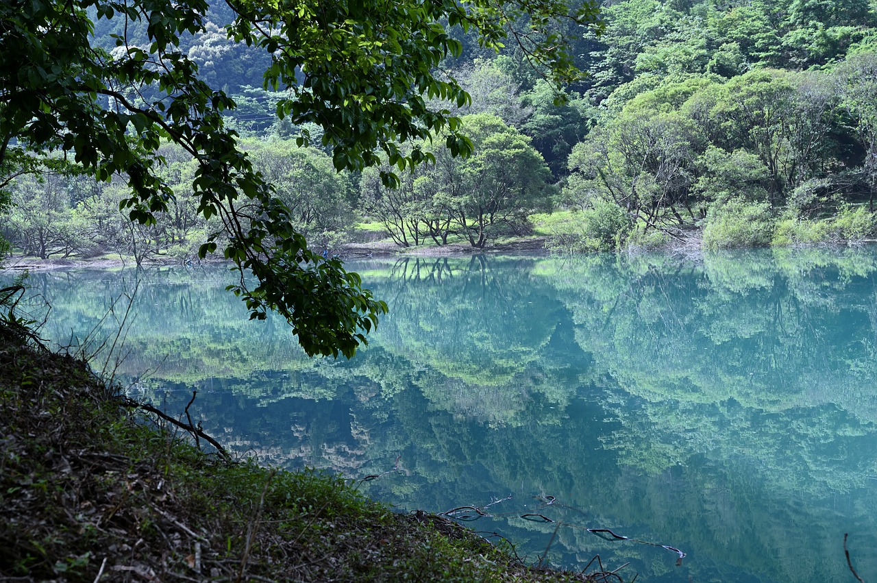 lake  reflection  natural free photo