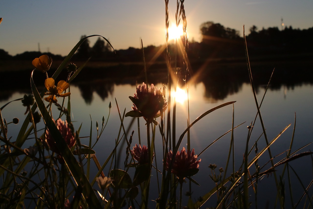 lake  water  sun free photo