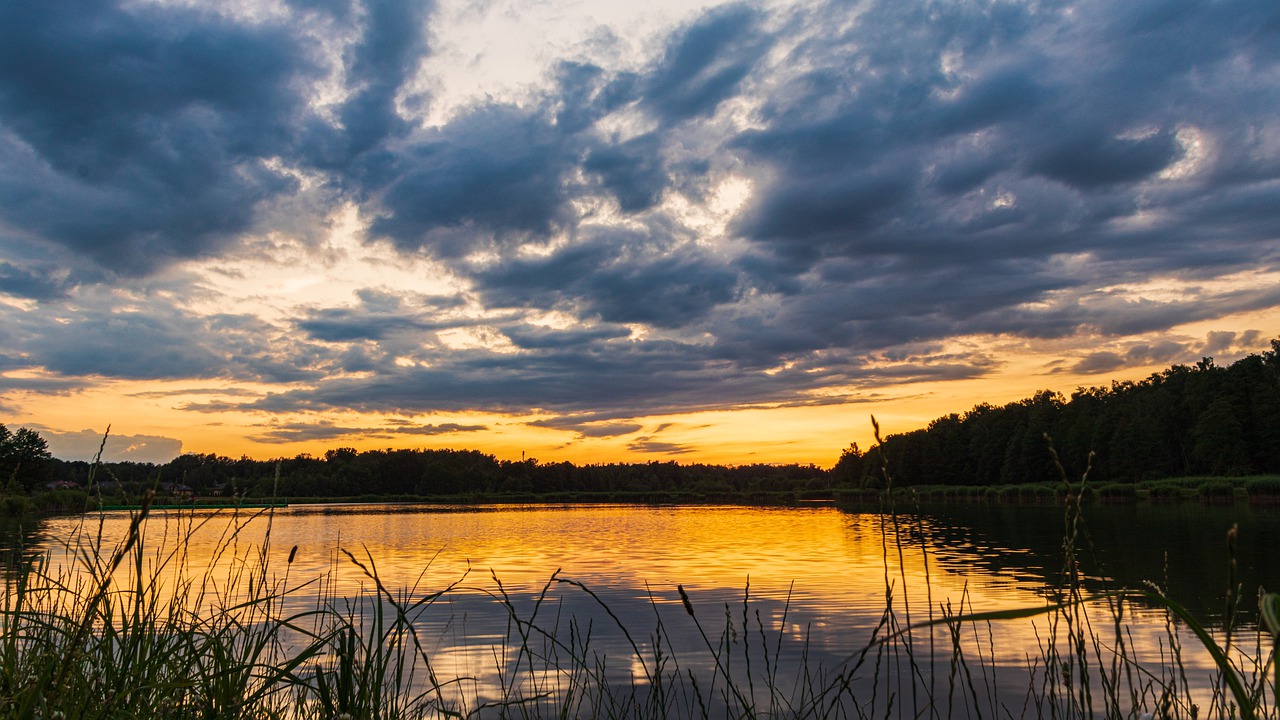 lake  sunset  summer free photo