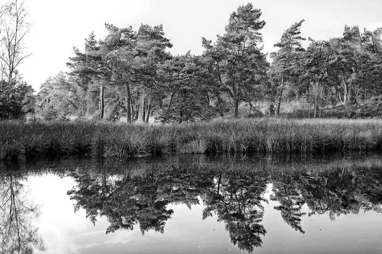 lake  mirroring  sw free photo