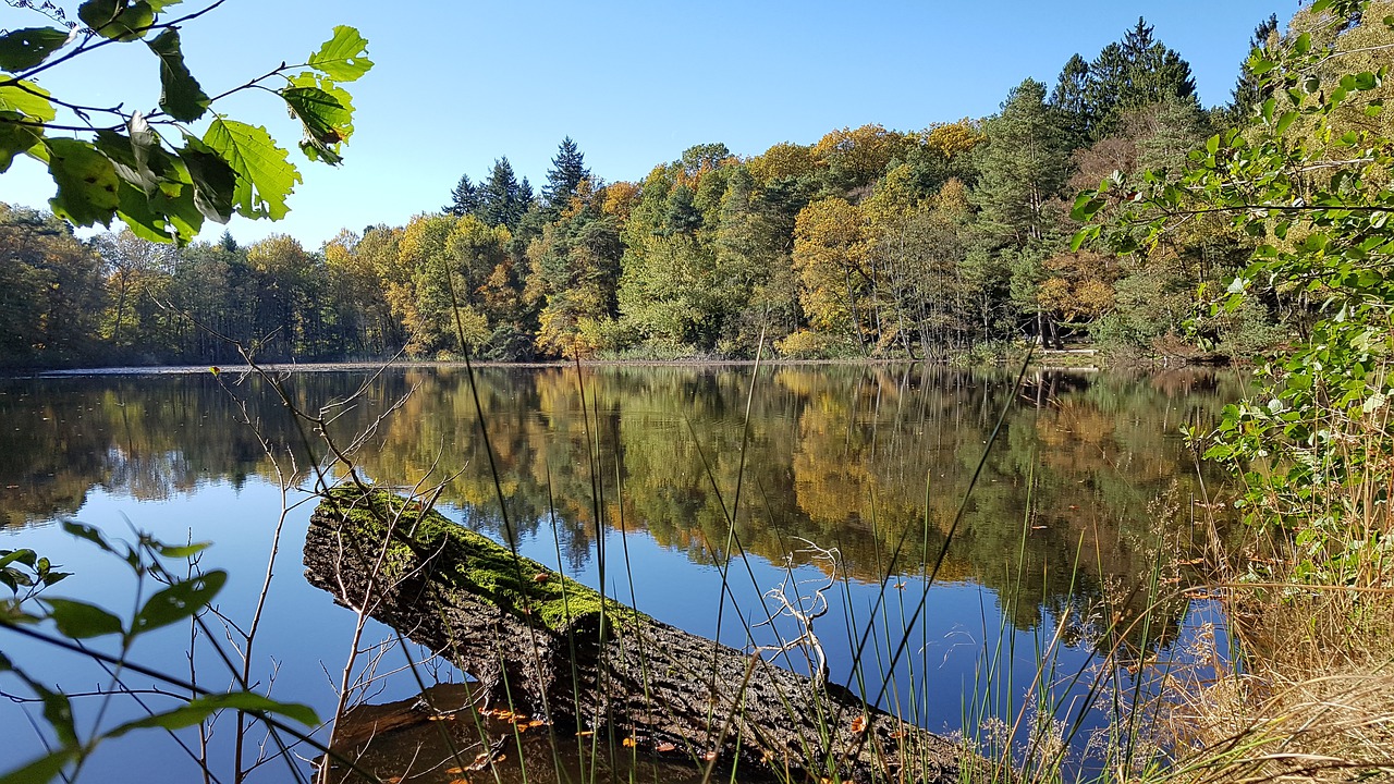 lake  reflection  mirroring free photo