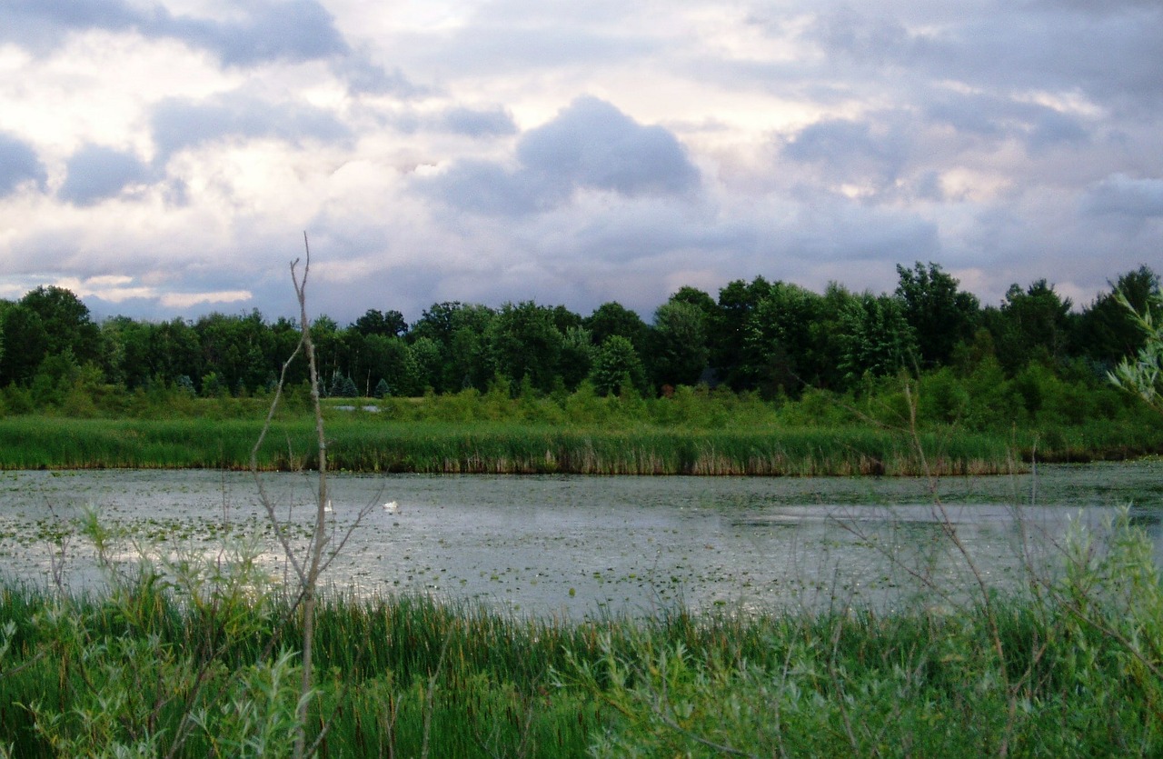 lake dark sky free photo