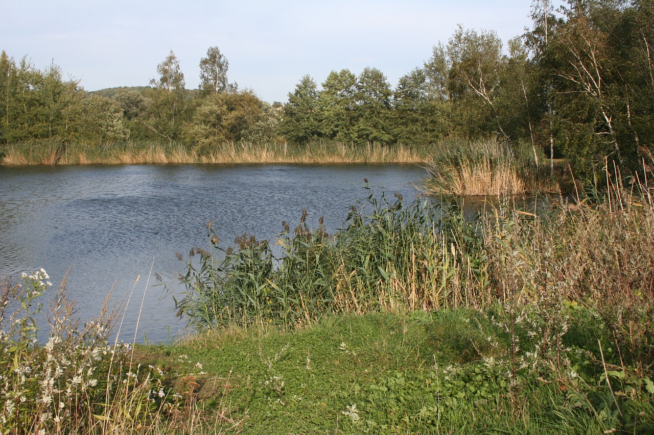 lake autumn mood walk free photo