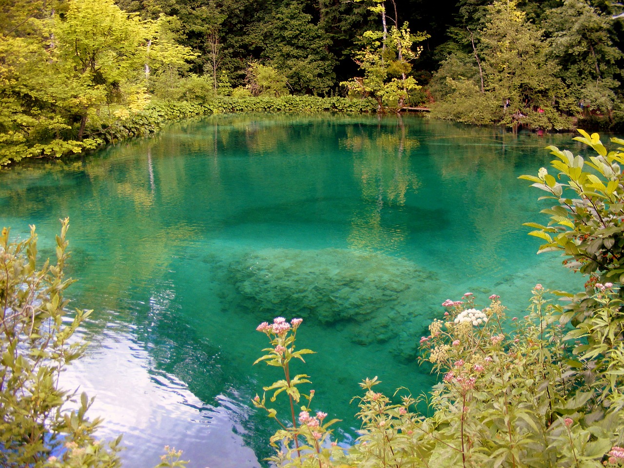 lake blue forest free photo