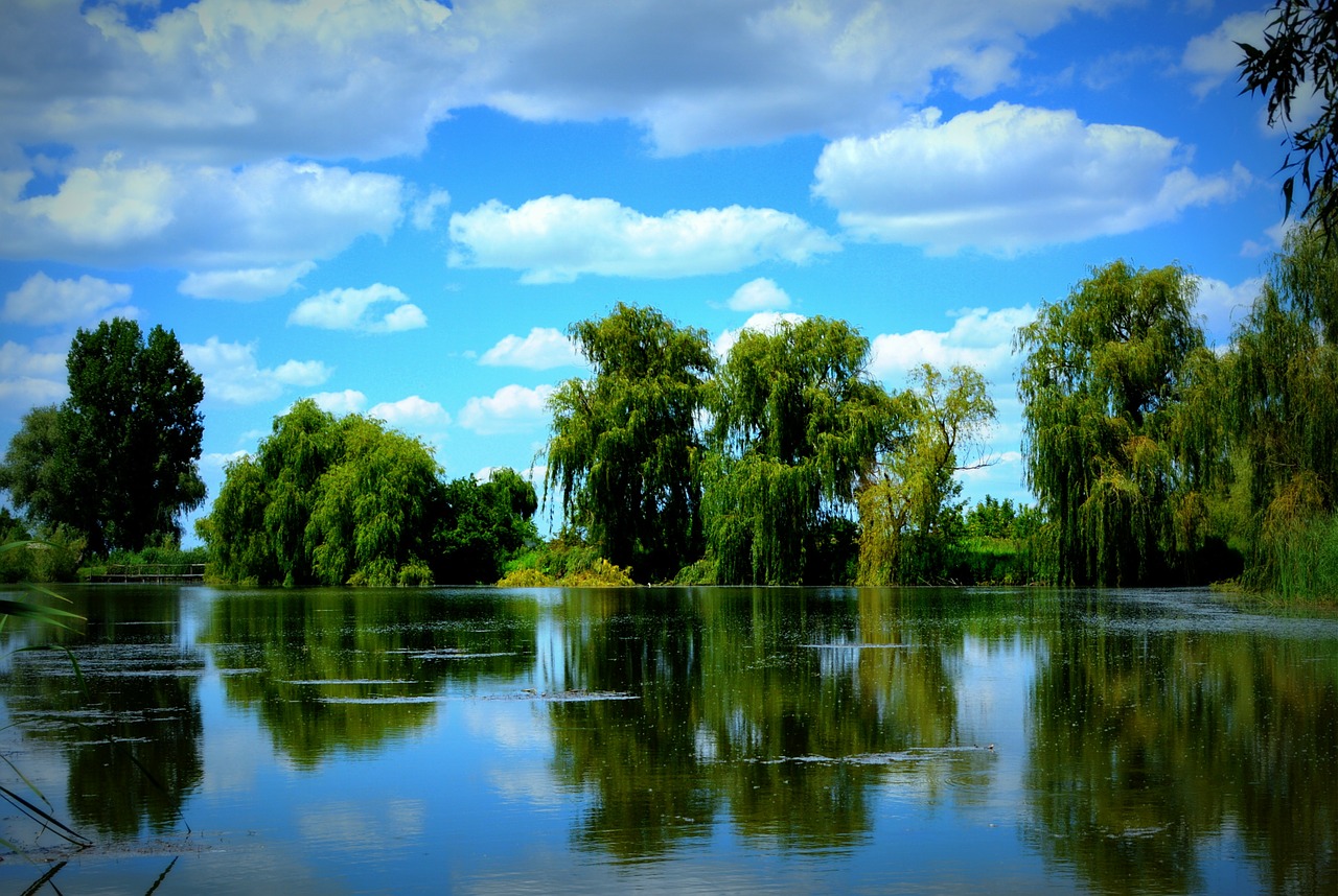 lake willow cloud free photo