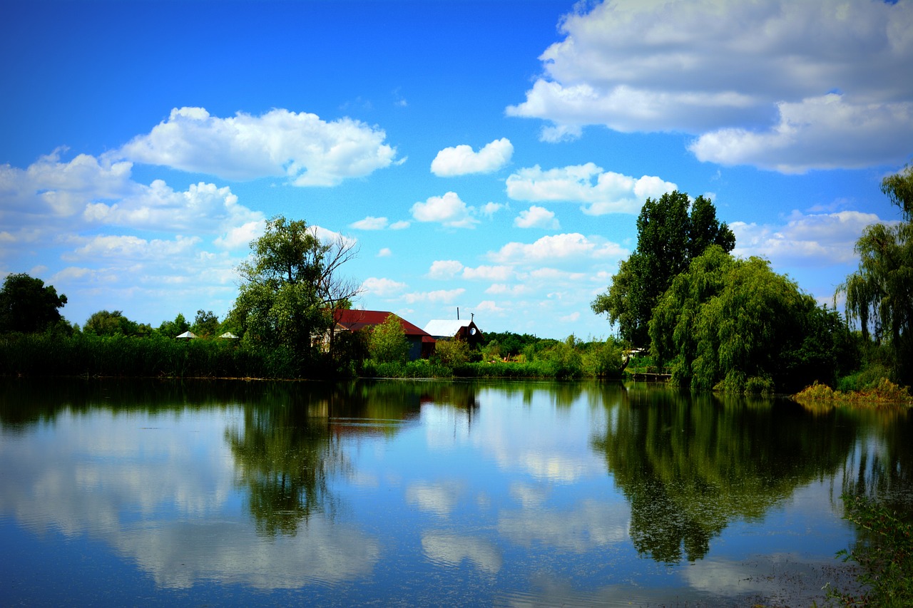 lake willow cloud free photo