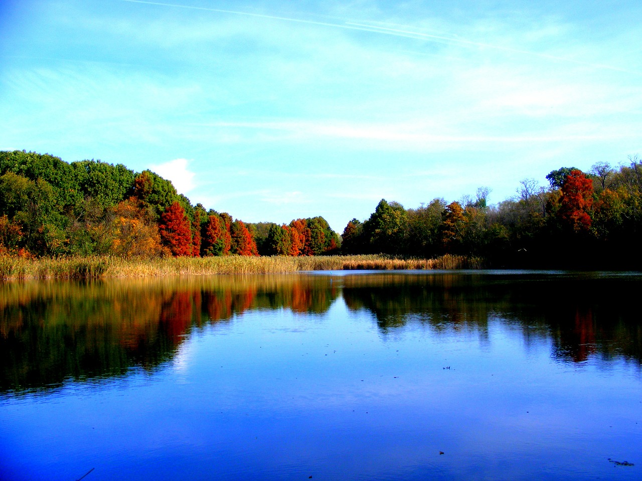 lake autumn forest free photo