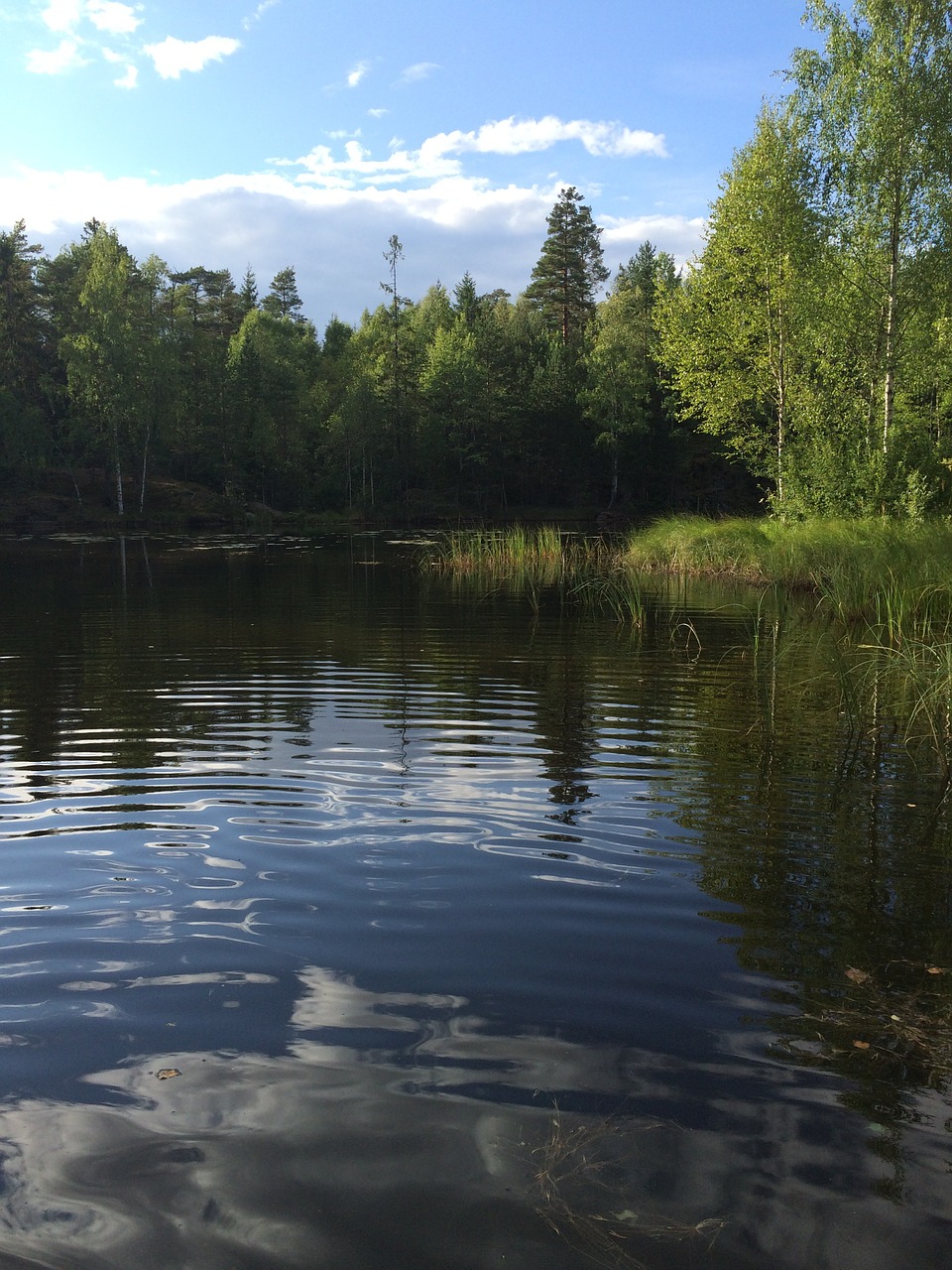 lake the nature of the norway free photo