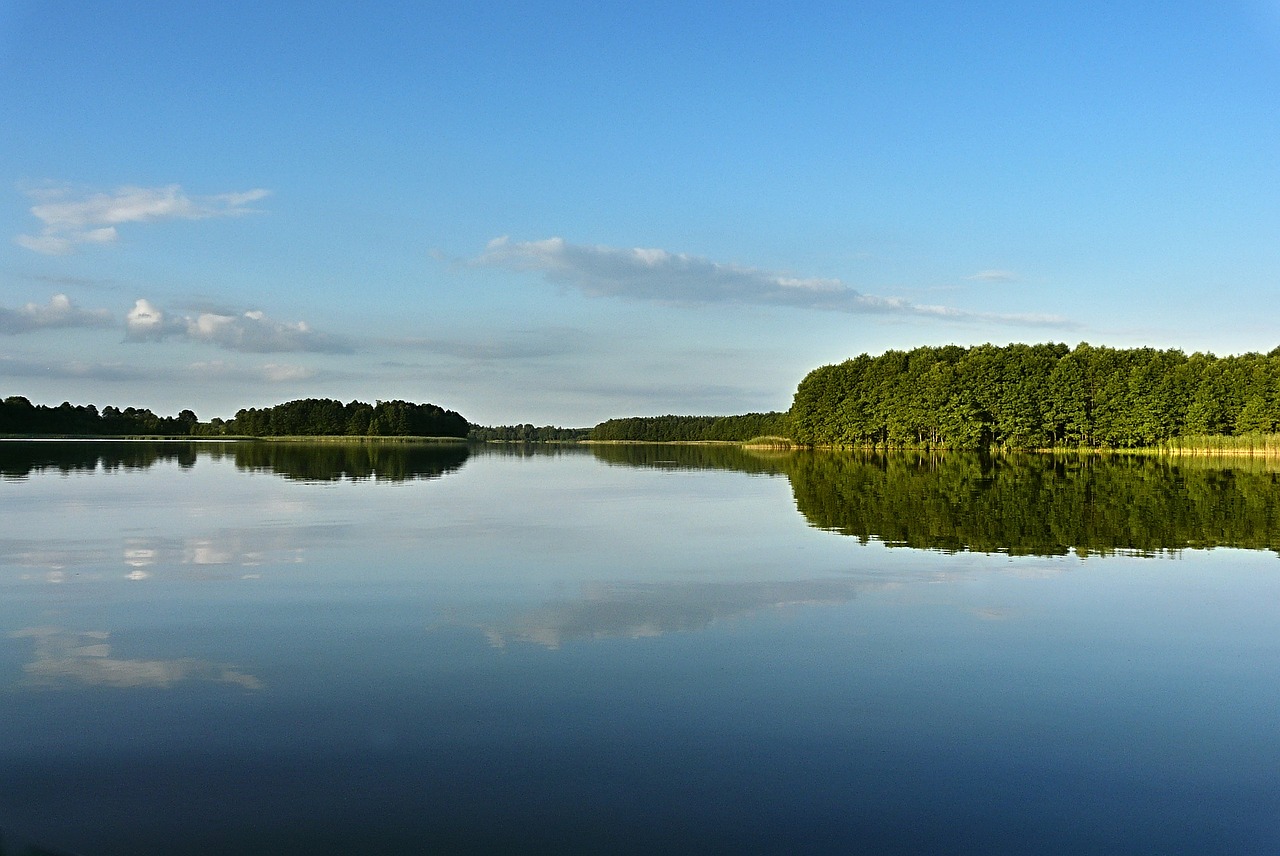 lake summer forest free photo