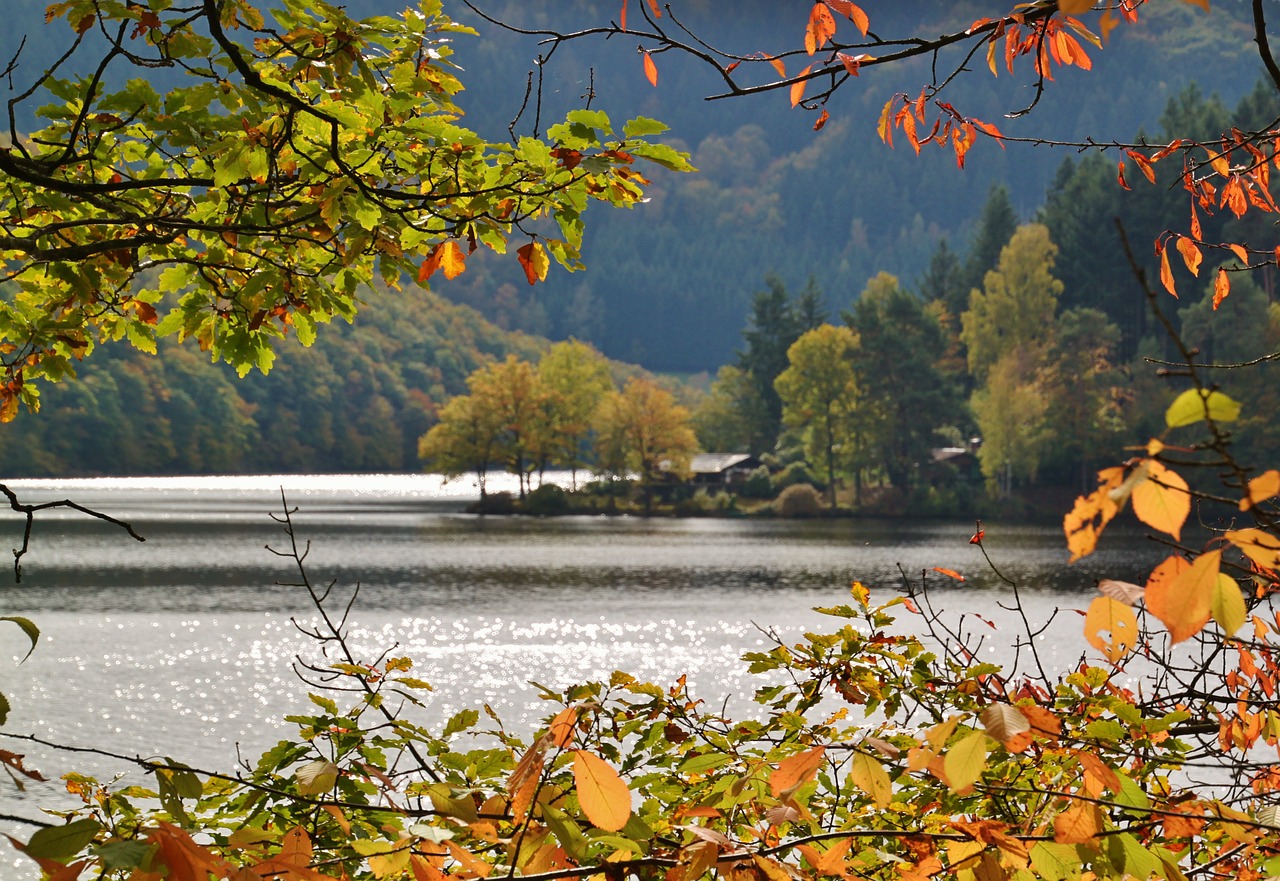 lake waters boat house free photo