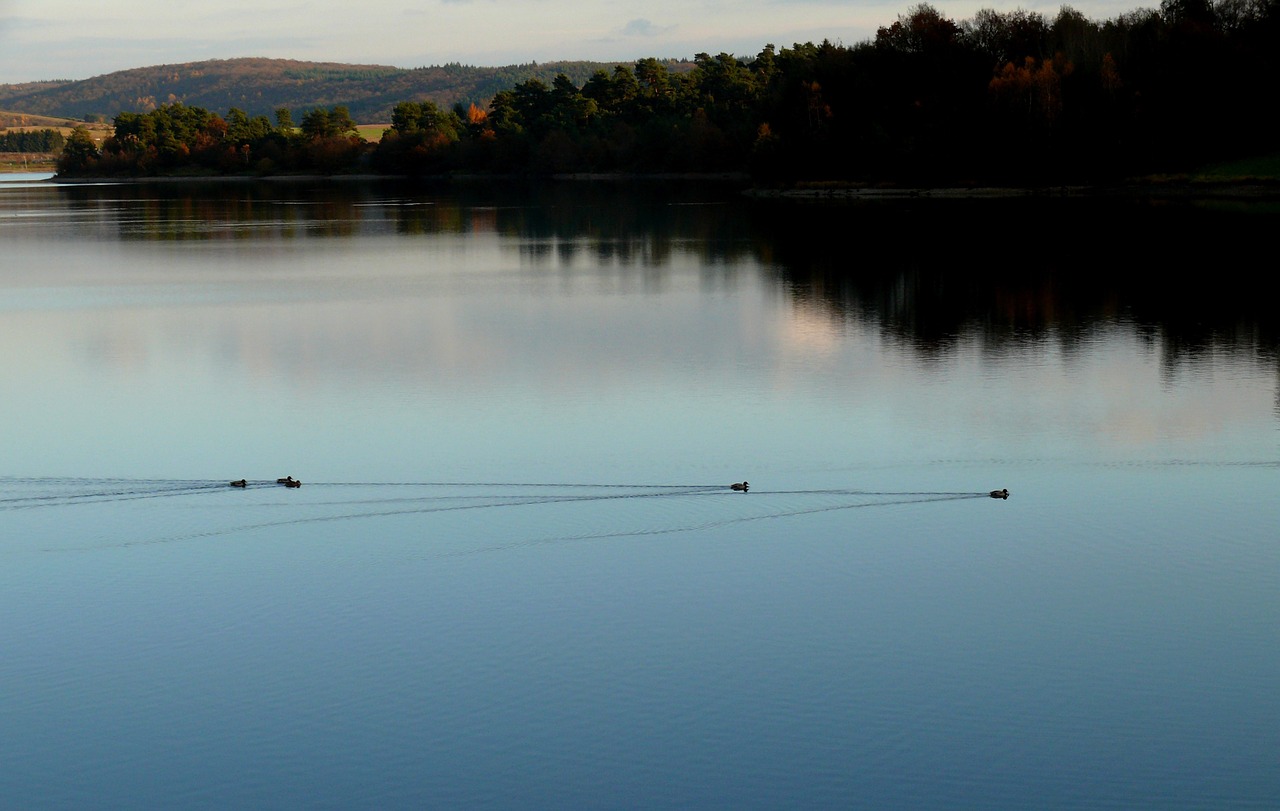 lake abendstimmung water free photo