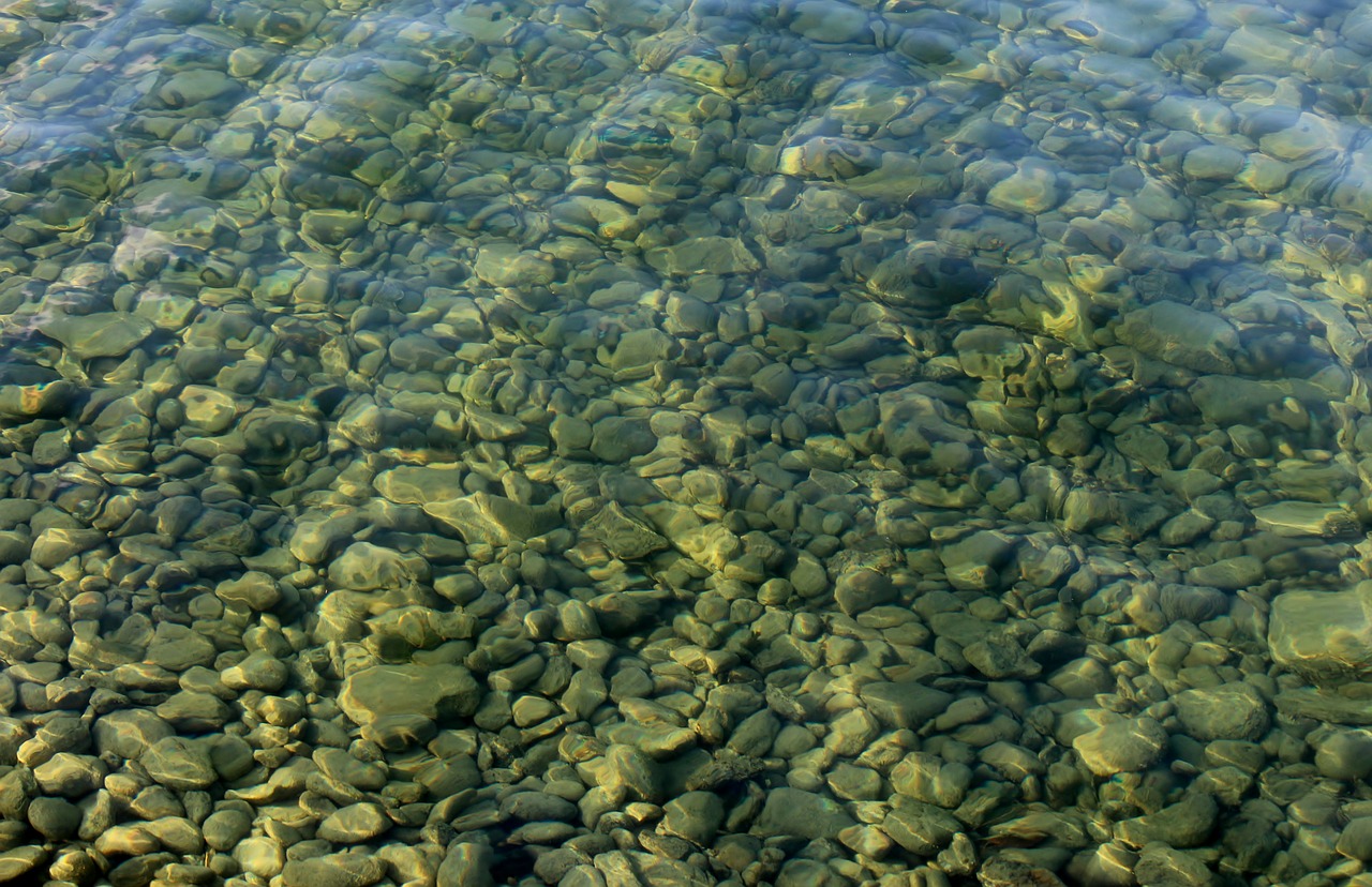 lake pebbles pebble free photo