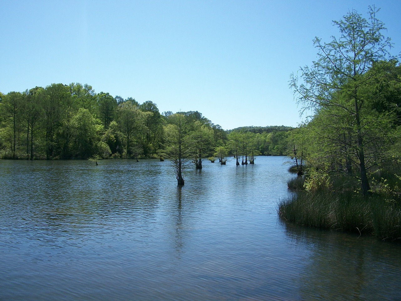 lake broken bow oklahoma free photo