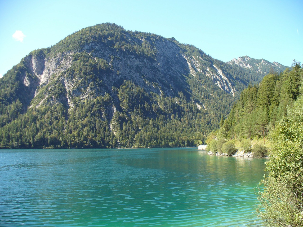 lake plansee water free photo