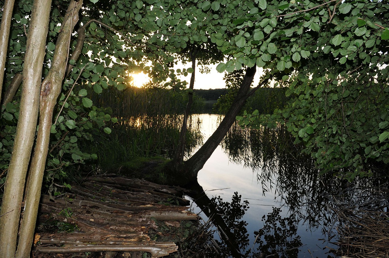 lake sunset mecklenburgische seenplatte free photo