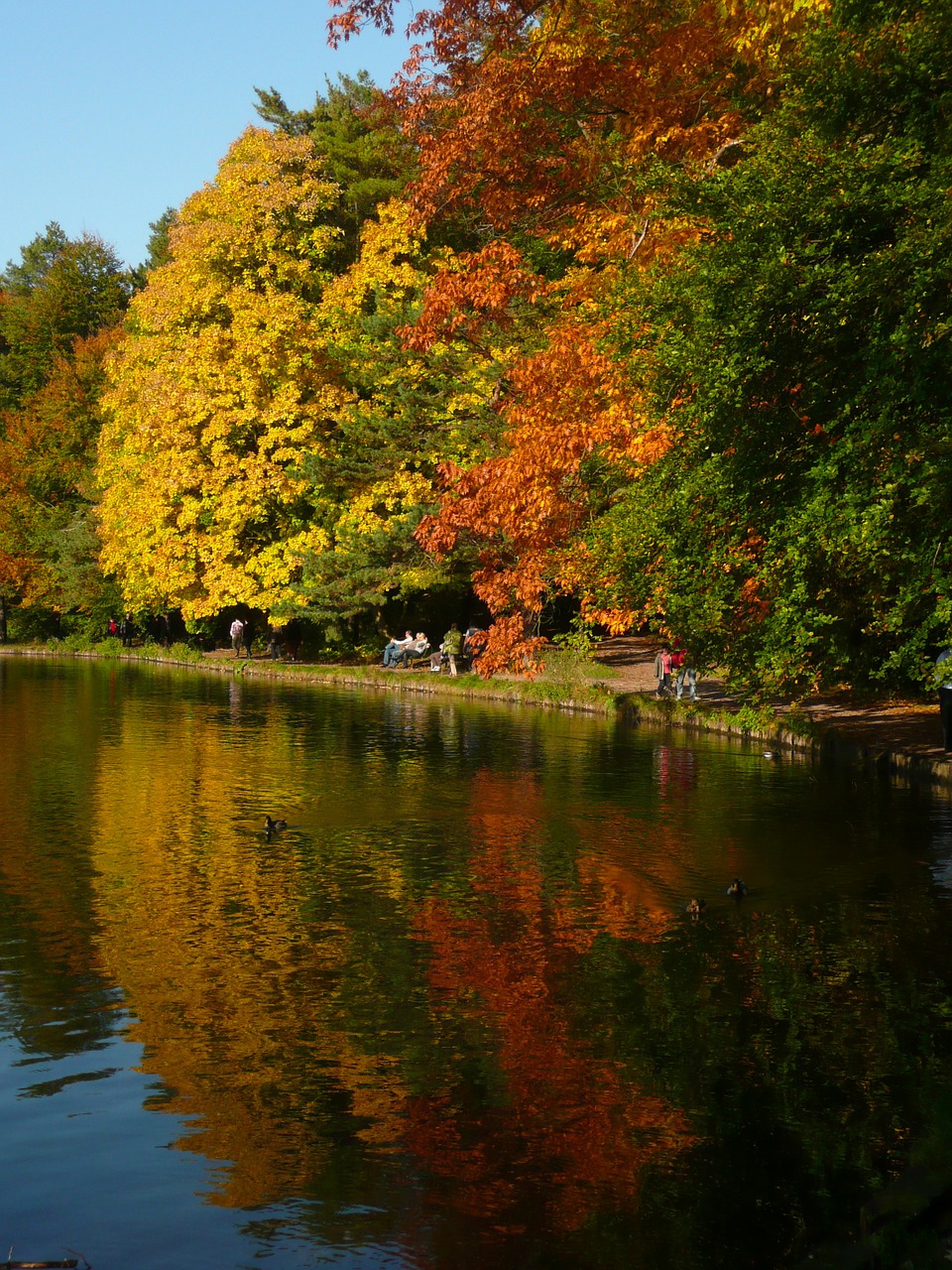 lake reflection water free photo