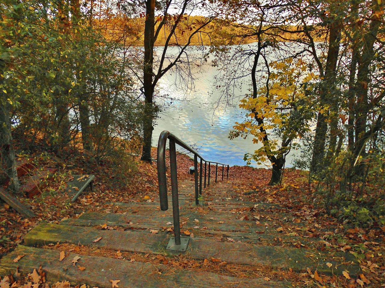 lake bank stairs free photo