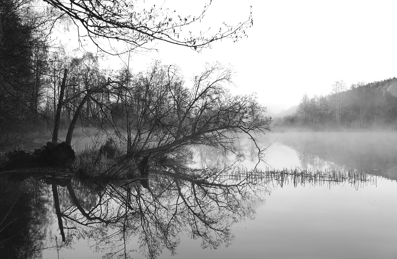lake mist morning free photo