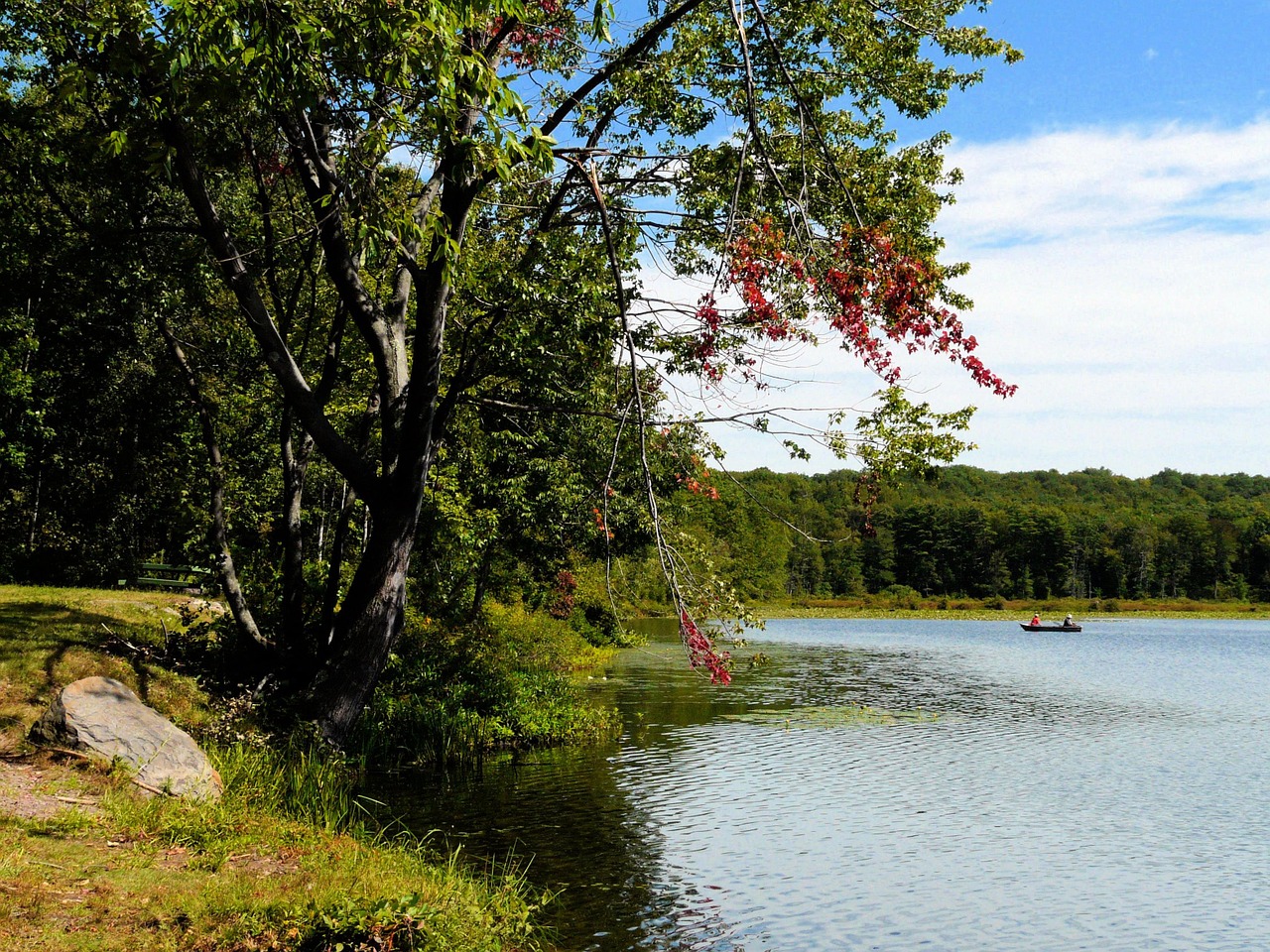 lake tree sky free photo