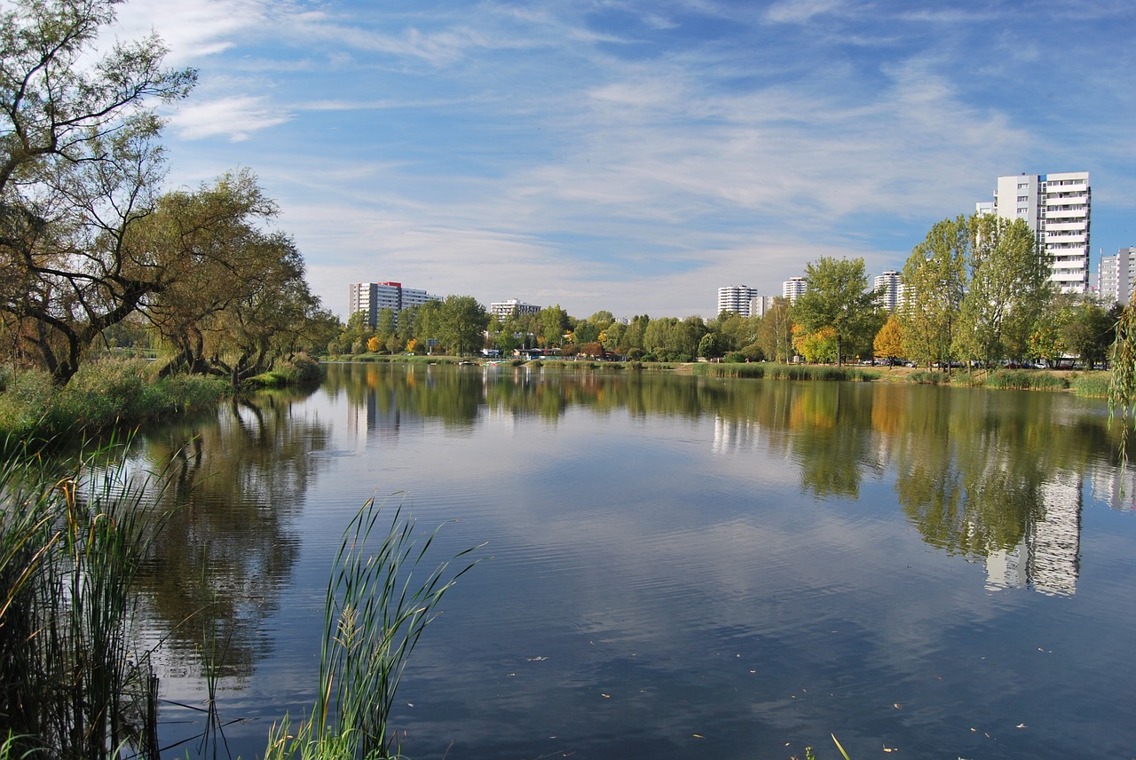 lake pond water free photo