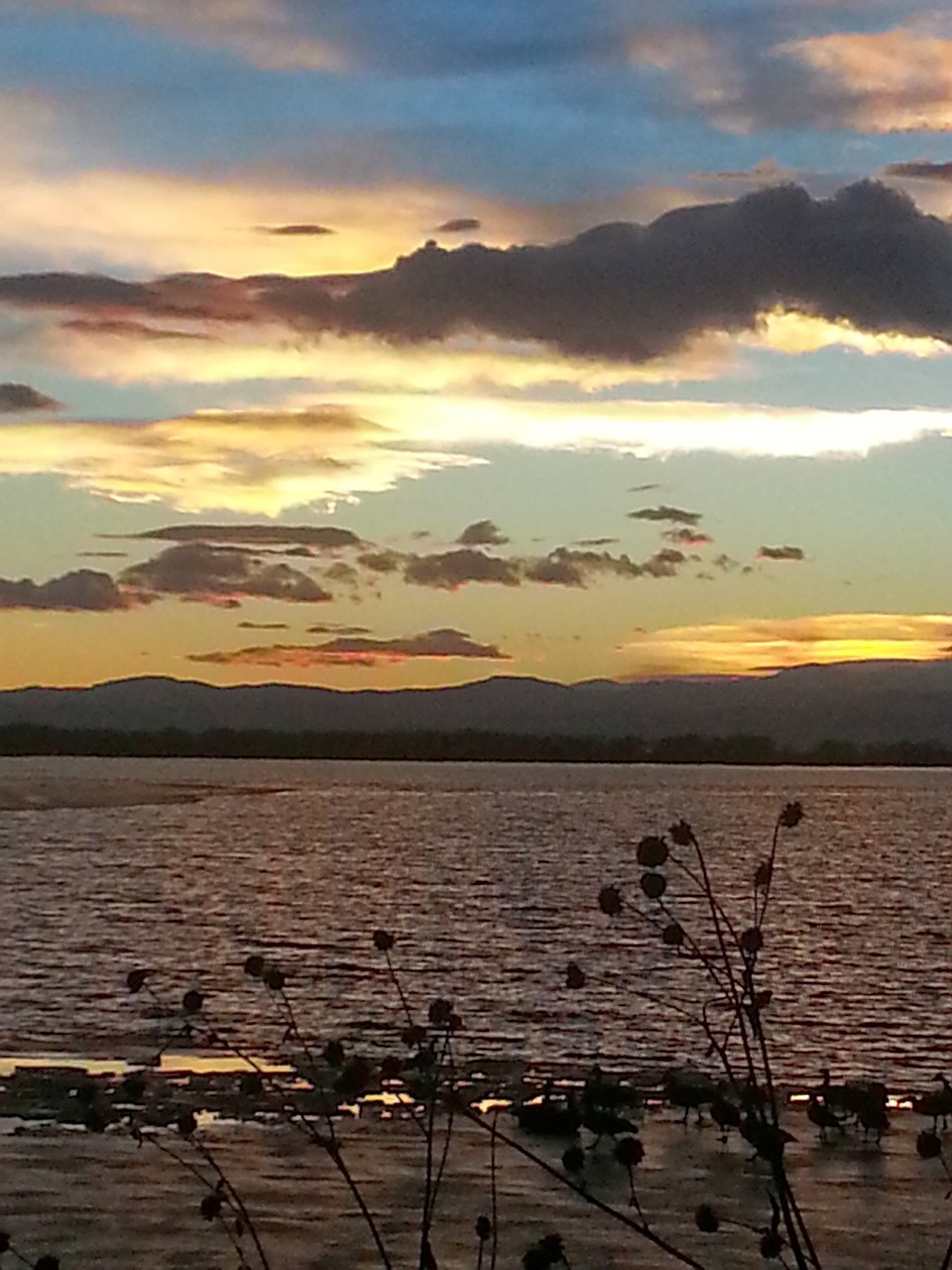 lake sunset horizon free photo