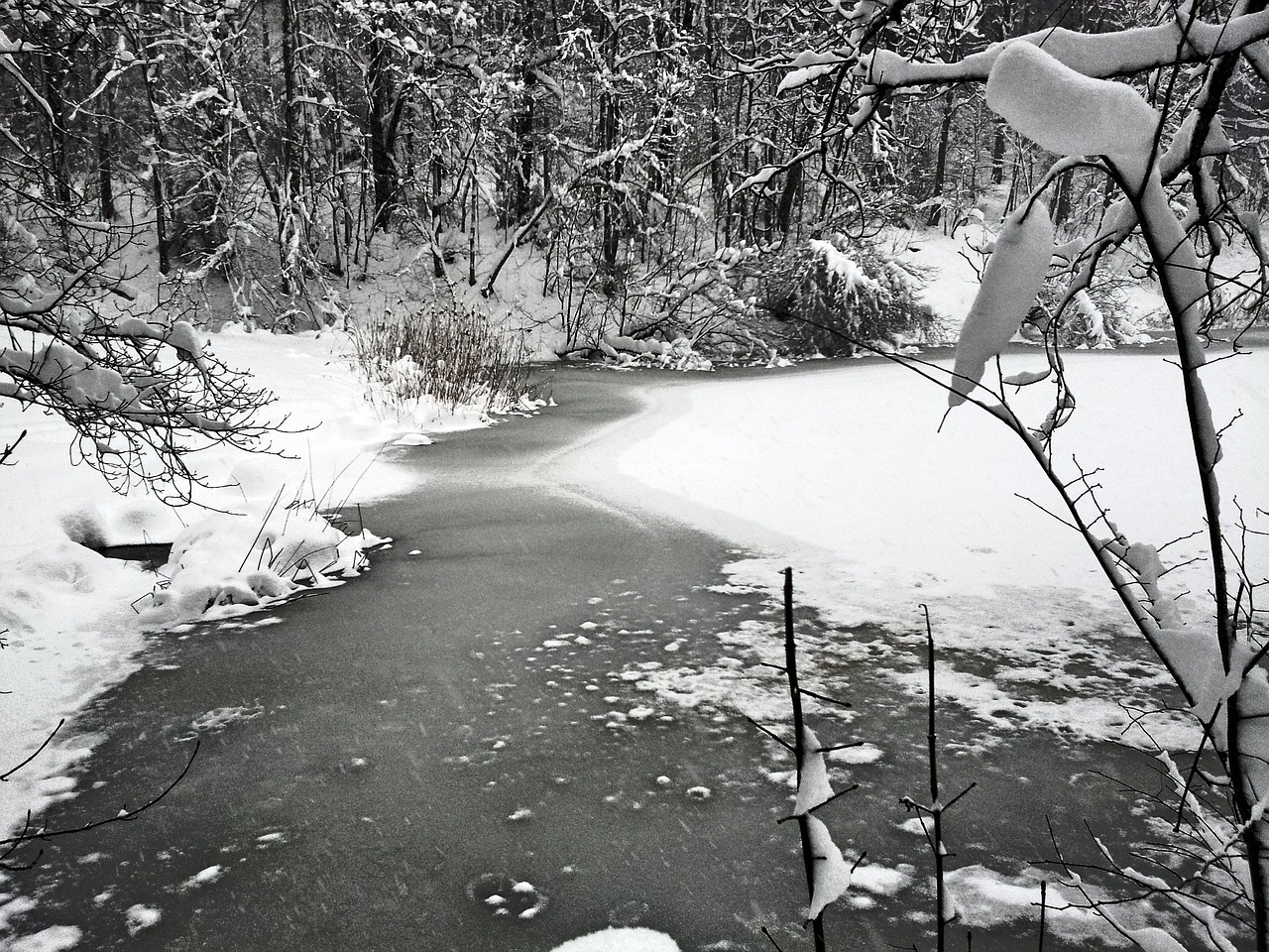 lake winter frozen free photo