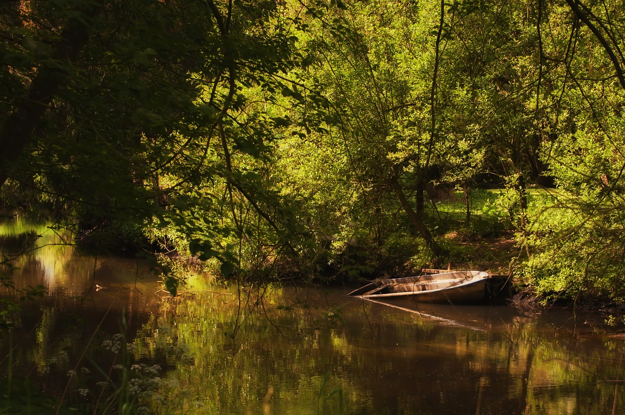 lake boot forest free photo