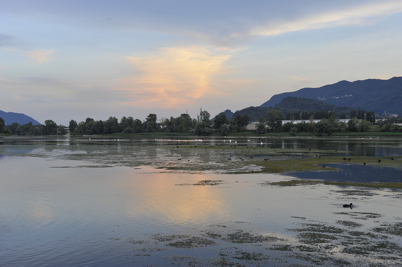 lake sunset nature free photo