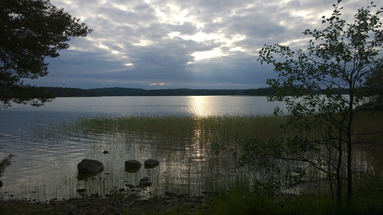 lake summer water free photo