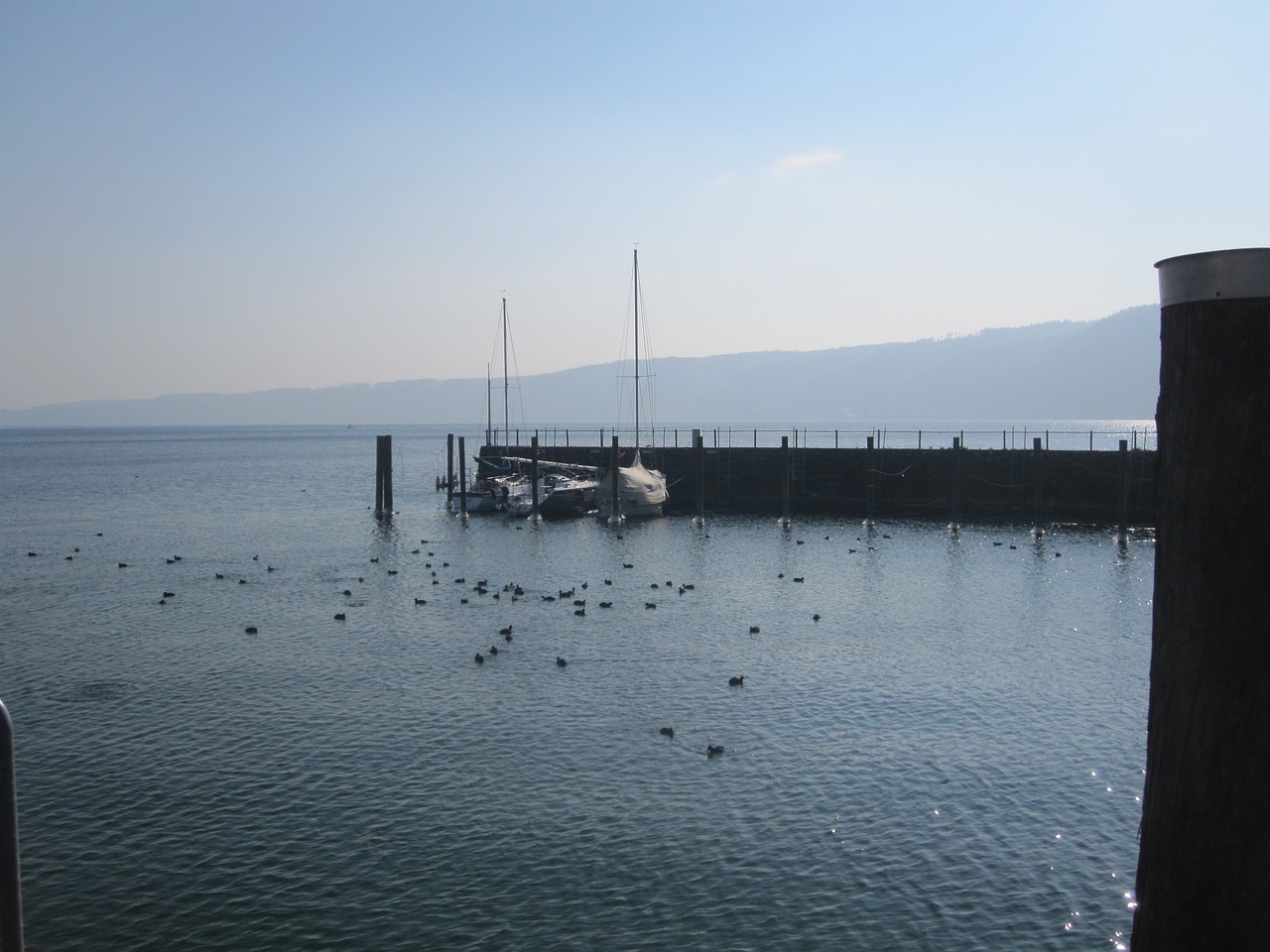 lake lake constance port free photo