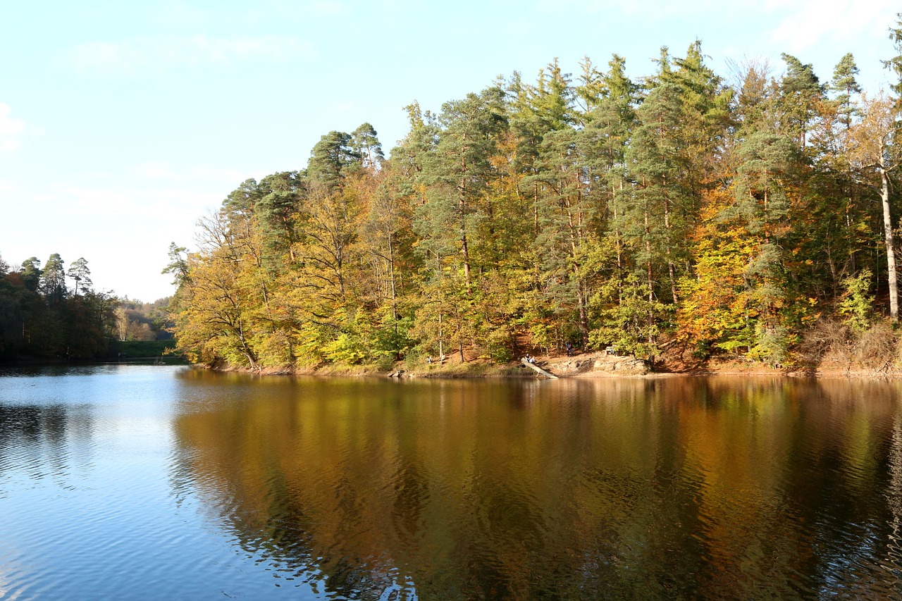 lake autumn nature free photo