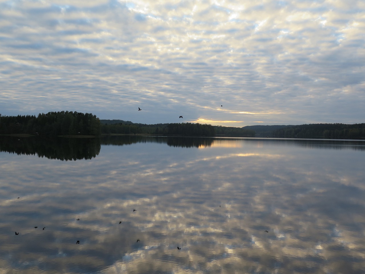 lake mirroring evening free photo