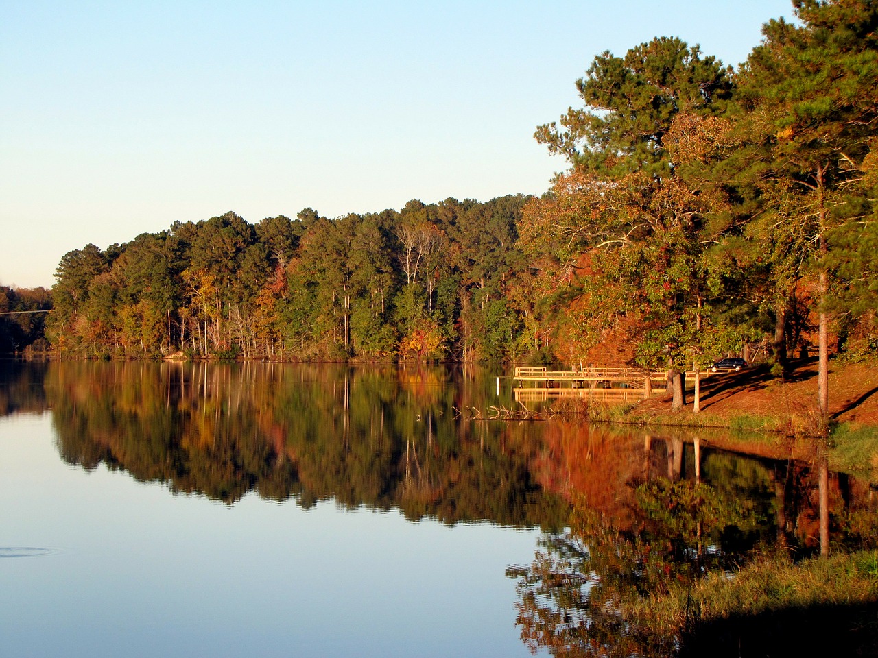 lake water tree free photo