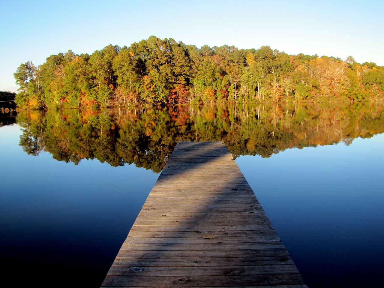 lake water tree free photo