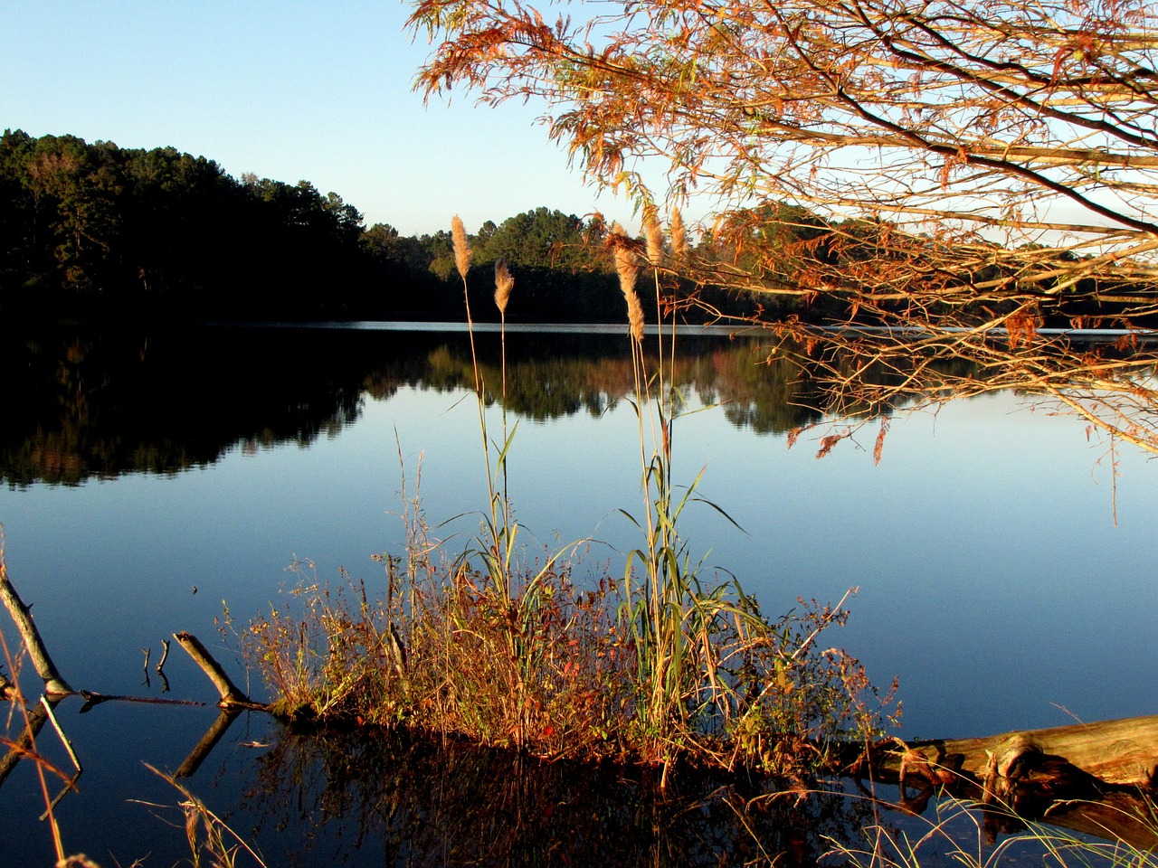 lake landscape water free photo